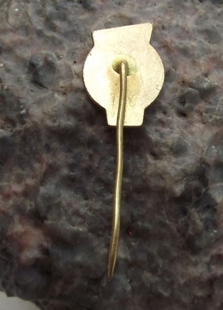 Czechoslovakia Wrestling Federation Fighting Association FILA Members Pin Badge - Badgecrazy