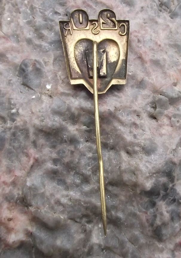 1938 Rare Czechoslovakia 20th Anniversary CSR First Czech Republic Pin Badge