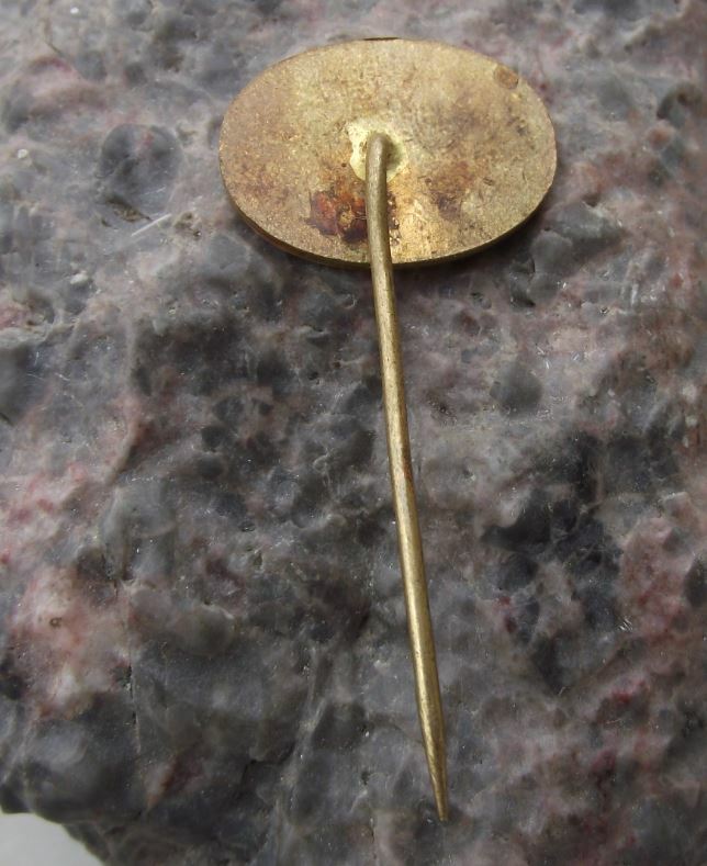 Antique National Museum of Czechoslovakia Narodni Czech Tourist Pin Badge - Badgecrazy