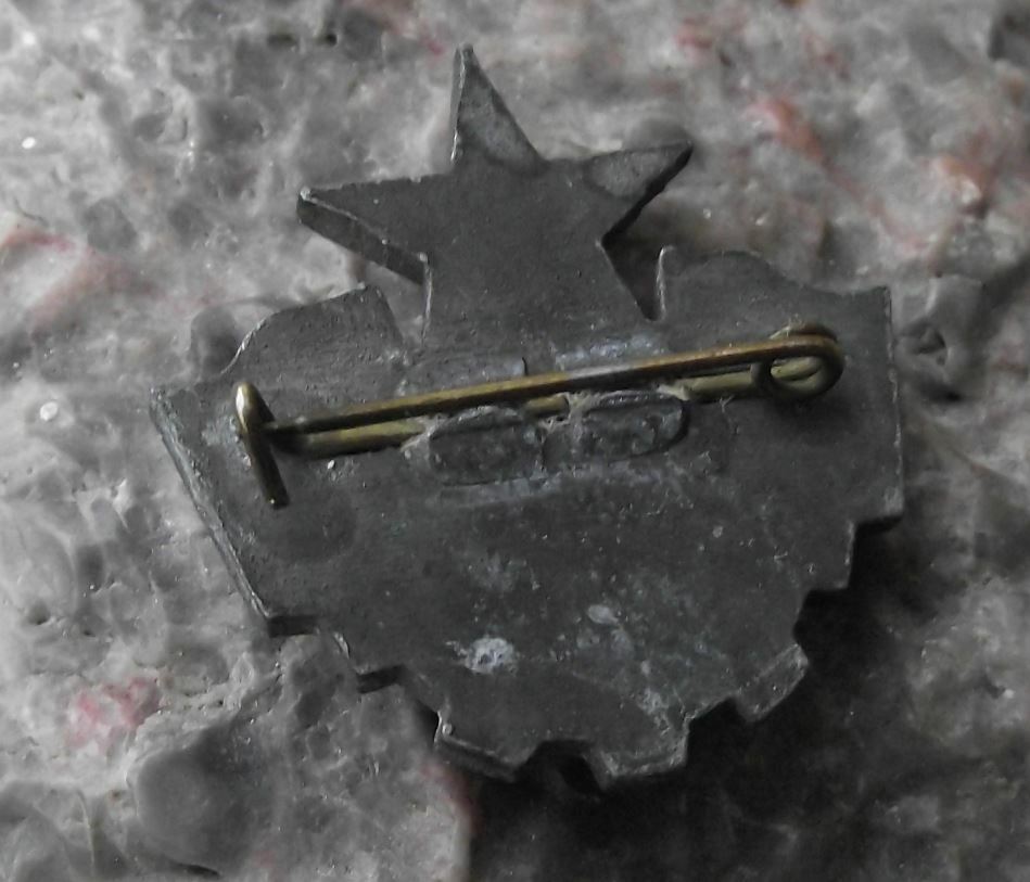 Antique CSM Czechoslovakia Youth Organisation Building Youth Slogan Pin Badge - Badgecrazy