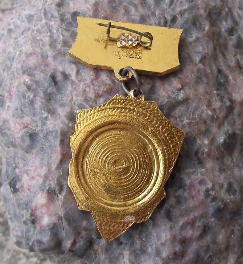 Vintage Kiev Ukraine Order of Lenin for Heroism WW2 Hero City Crest Pin Badge - Badgecrazy