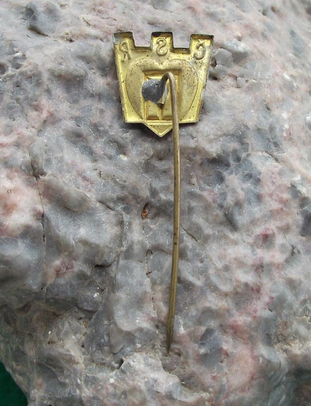 Vintage CSR Czech Czechoslovakian National Flag Czechoslovakia Pin Badge - Badgecrazy