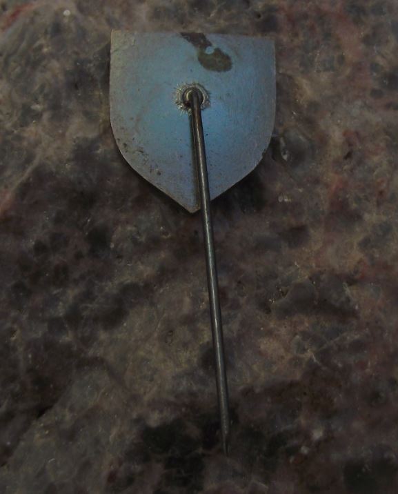 Vintage Bezdez Gothic Castle Czechoslovakia Tourist Souvenier Visitors Pin Badge - Badgecrazy