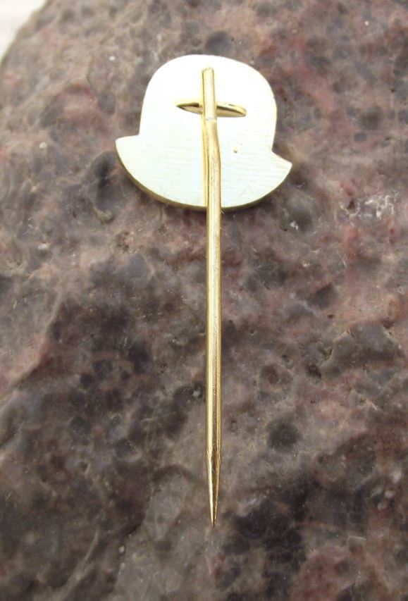 Antique Lazne Trebon Natural Czech Spa Town Travel Tourist Souvenier Pin Badge - Badgecrazy