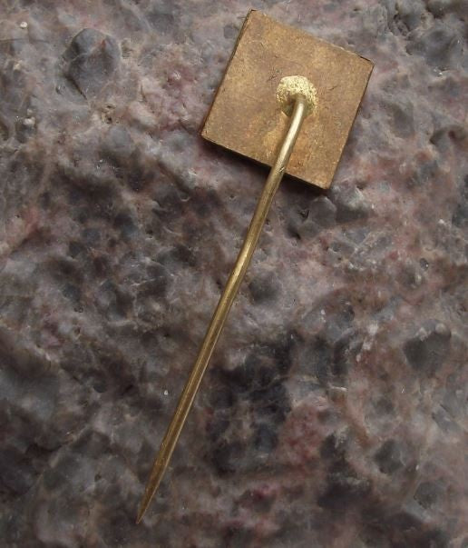 Plzen Zoo Rare Endangered Mouflon Wild Mountain Sheep Safari Park Pin Badge - Badgecrazy