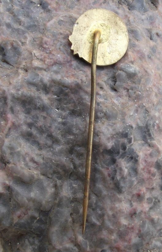 Vysoke Tatry High Tatra Mountains Edelweiss Flower National Park Ski Pin Badge