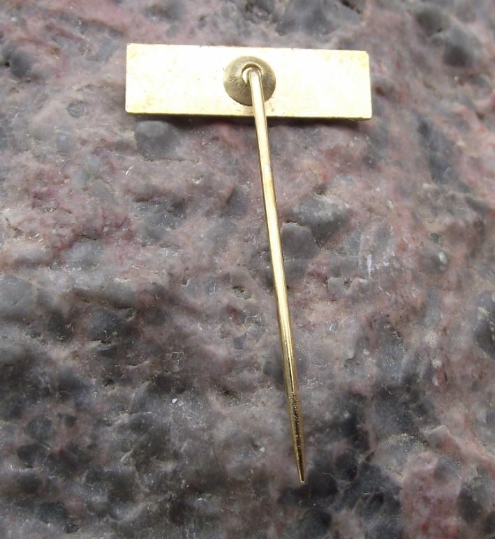 Antique Caroliner Company Advertising Caroline Pin Badge - Badgecrazy