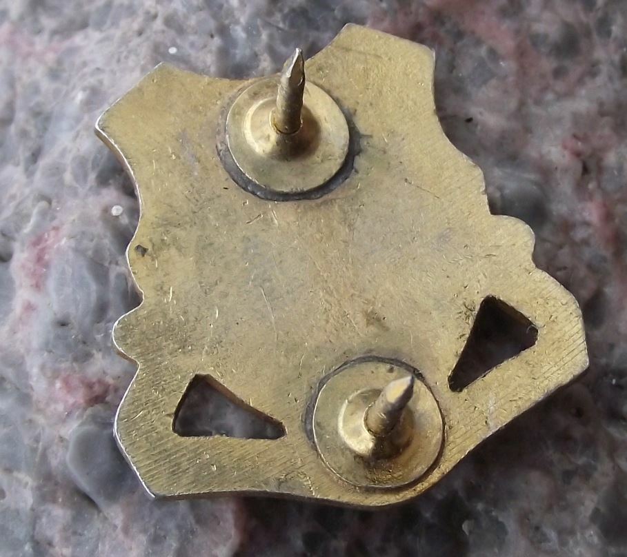 Vintage US Army 82nd Engineer DUI Strength and Courage Clutchback Pin Badge - Badgecrazy