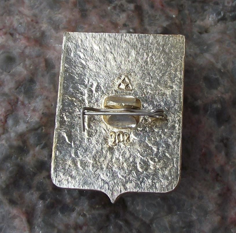 Vintage Vyazniki Soviet Union Coat of Arms Heraldic City Crest Pin Badge