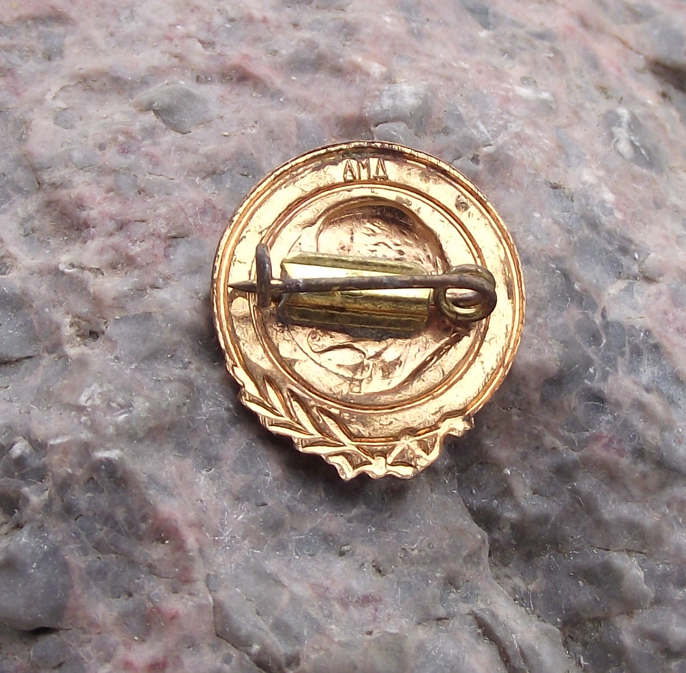 Vintage Vladimir Lenin Head Communist Leader Laurel Leaves Pin Badge - Badgecrazy