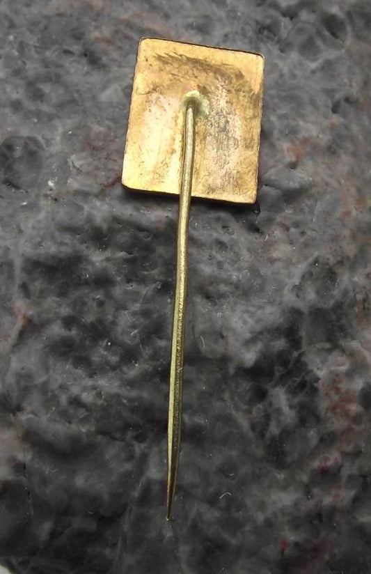 Vintage Usti nad Labem Lion Knights Helmet Heraldic Crest Coat of Arms Pin Badge - Badgecrazy