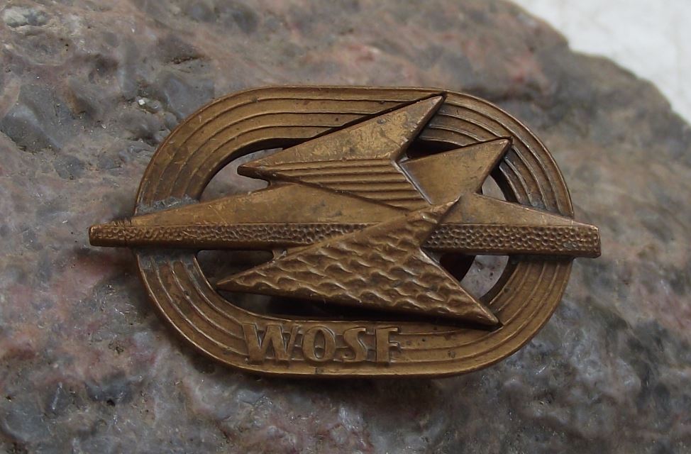 WOSF Wojskowa Odznaka Sprawnosci Fizycznej Military Fitness Uniform Pin Badge