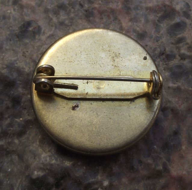 Romsey Abbey Parish Church Hampshire England Tourist Souvenier Pin Badge - Badgecrazy
