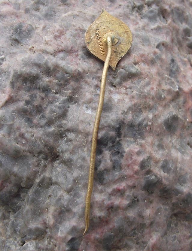 Antique Kadan Fishing Angling Association Catfish Fish Members CSRS Pin Badge - Badgecrazy