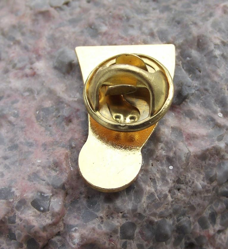 2008 Euro UEFA Czech Republic Football Austria Switzerland Tie Jacket Pin Badge - Badgecrazy
