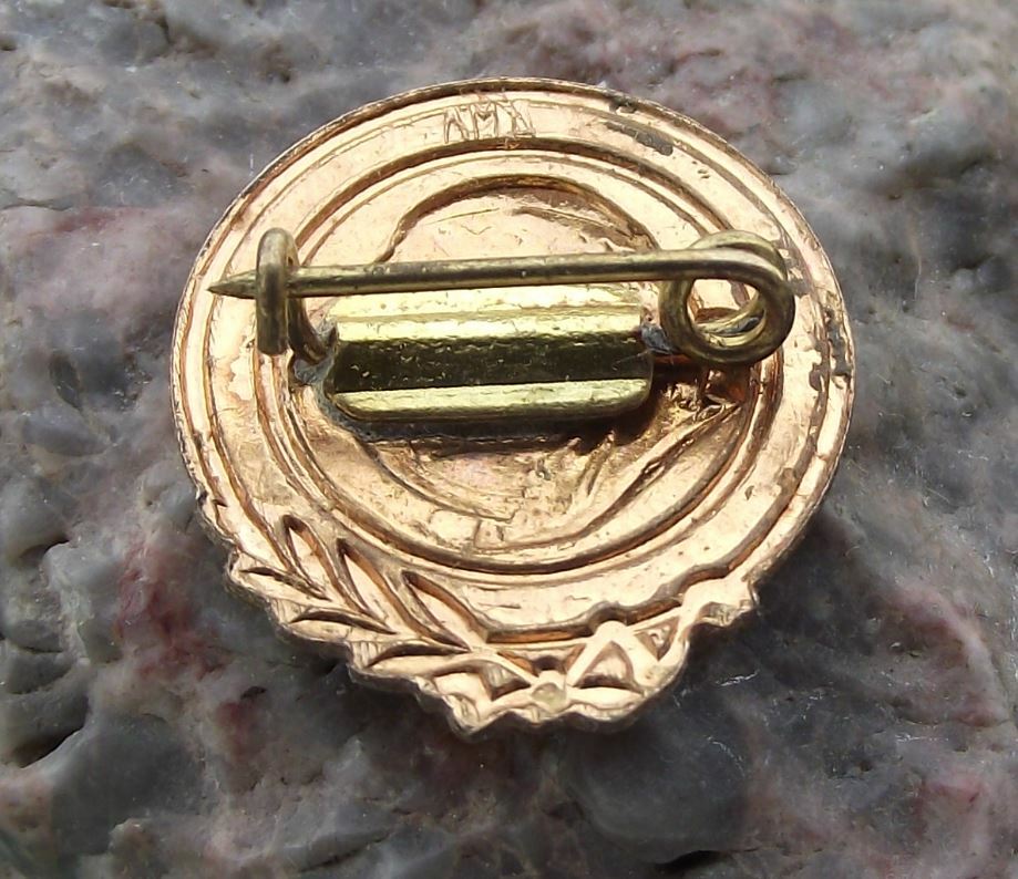 Antique V I Lenin Soviet CCCP Russian Premier Leader Communist Party Pin Badge - Badgecrazy