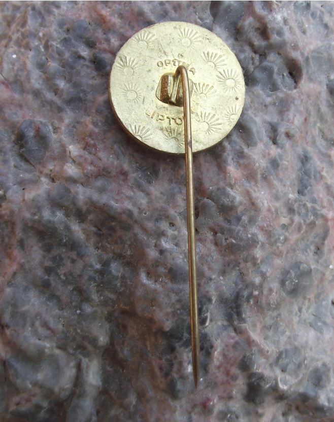 1979 Czechoslovakia Mayday Socialist Spring Havirov Carnation Flower Pin Badge - Badgecrazy