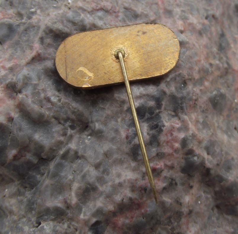 Antique AMK Auto Moto Klub Marianske Lazne Motorcycle Speedway Track Pin Badge - Badgecrazy