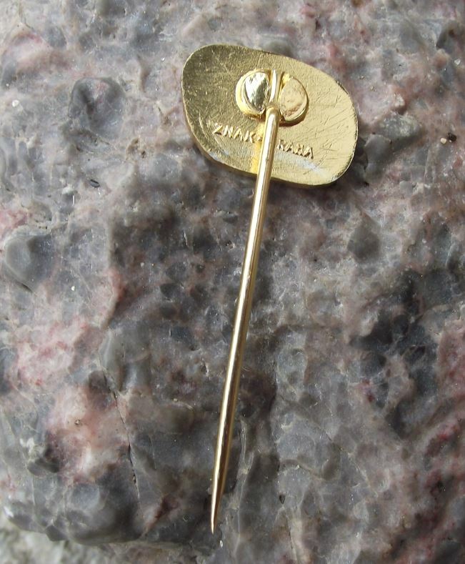 Antique Bohemia Glass Bohemian Czech Crystal of Czechoslovakia Pin Badge - Badgecrazy