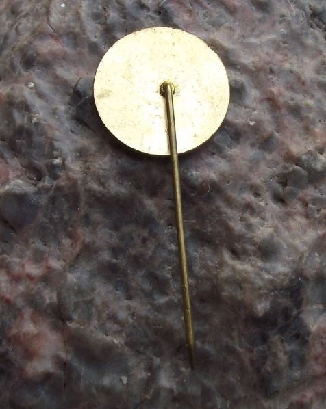 Czech Horticultural Society Club Exotic Orange Banana Fruit Tree Pin Badge - Badgecrazy