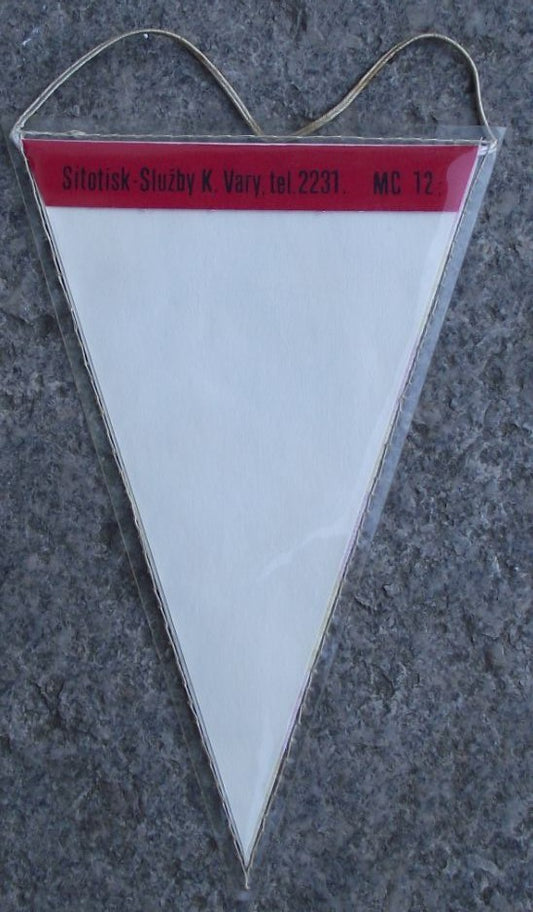 Zvikov Castle & Region Heraldic Crest Hissing Attacking Swan Pennant Flag - Badgecrazy