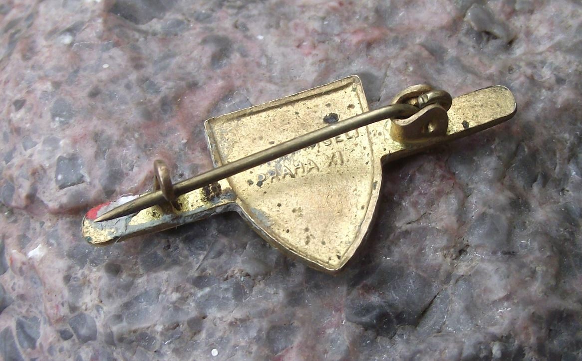 1945 World War Two 2 II Czech NS Vlasti Zdar National Fascist Party Pin Badge