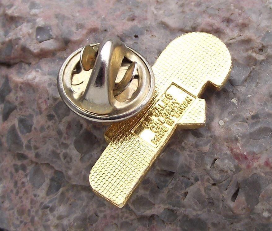 Wild Rose Flower Edmonton Alberta Province Western Canada Souvenier Pin Badge