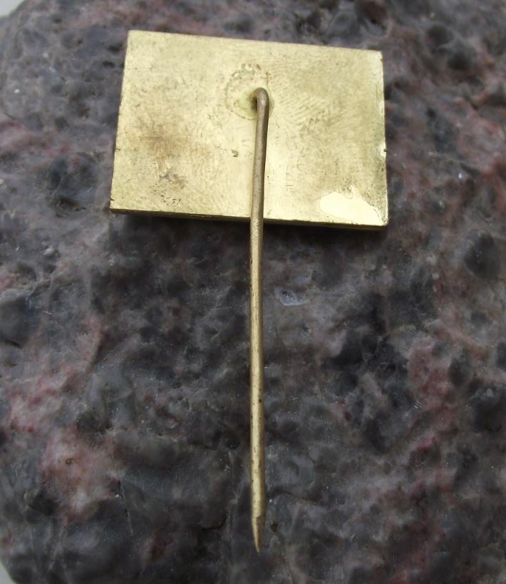 1970 Gymnazium v Nove Pace 60th Anniversary 1688 Czech School Student Pin Badge - Badgecrazy