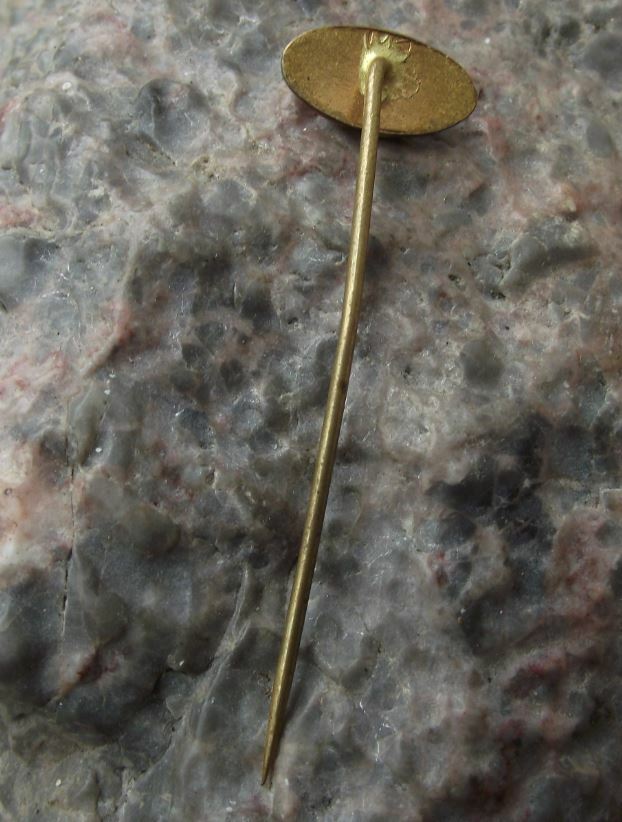 Vintage SDL Czechoslovakia State Aviation Authority Jet Aircraft Plane Pin Badge - Badgecrazy