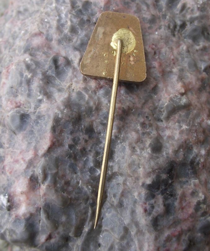 Vintage Potstejn Czechoslovakia Ancient Castle Tourist Souvenier Pin Badge - Badgecrazy