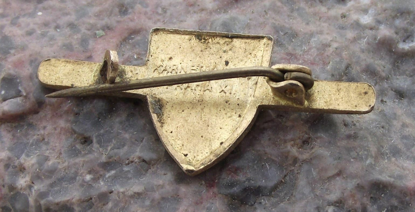 1945 WW2 Czechoslovakia NS National Fascist Nationalist Party Brooch Pin Badge
