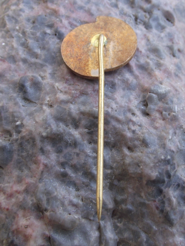 Antique Cz Czechoslovak Czech Weapons Rifle Factory Czechoslovakia Gun Pin Badge - Badgecrazy