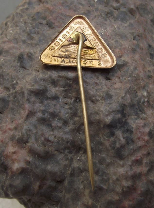 1960 Skoda Professional Driving Competition Octavia Felicia Car Pin Badge - Badgecrazy
