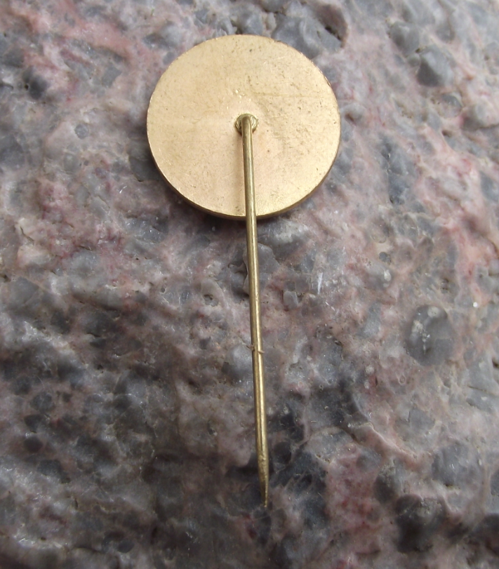 Antique TJ Cechie Karlin Praha Czech Prague Football Soccer Club Fan Pin Badge - Badgecrazy