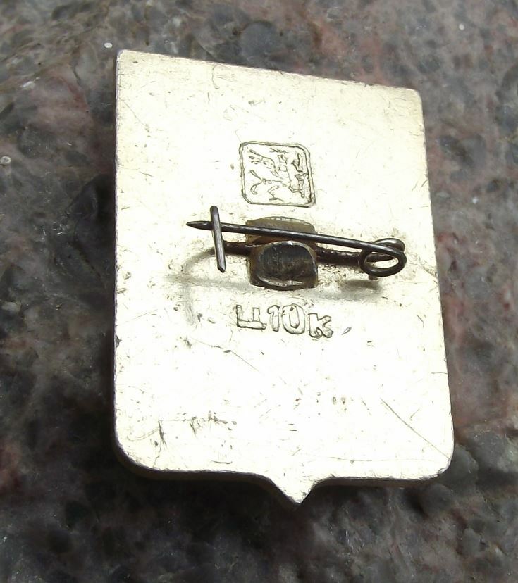 Vintage Vyazniki City Soviet Union Coat of Arms Heraldic Crest Pin Badge