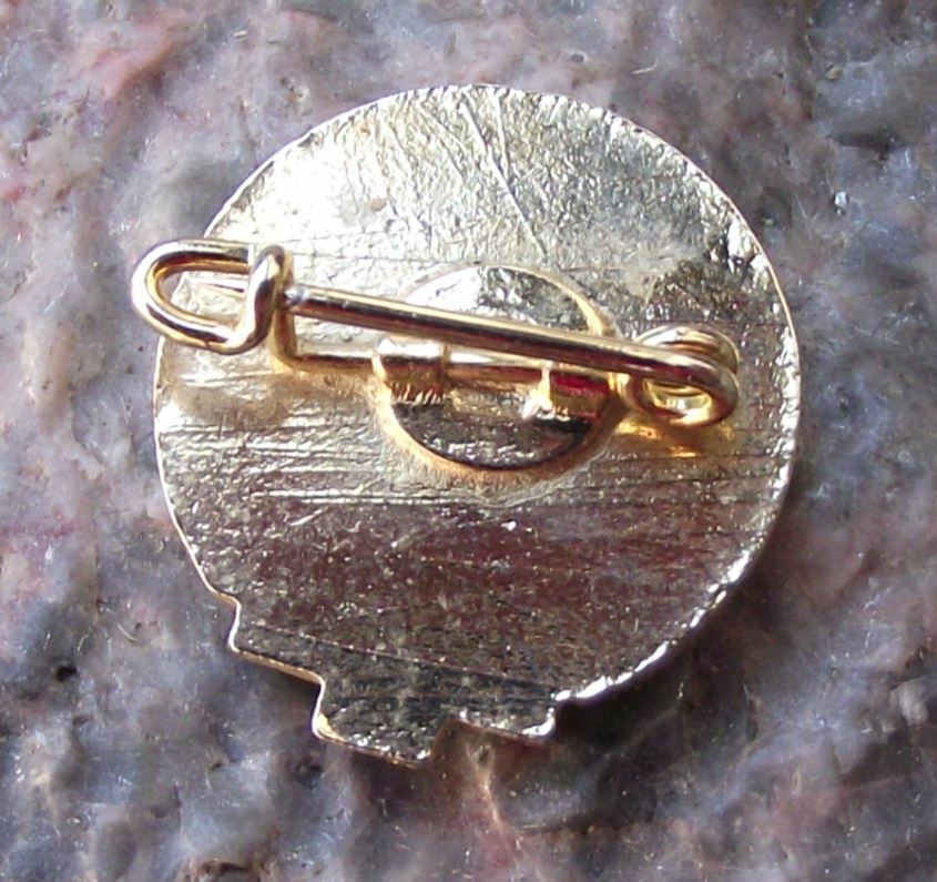 Antique Turnverein Weissenthurm 1868 e.V. Germany German Sports Club Pin Badge - Badgecrazy