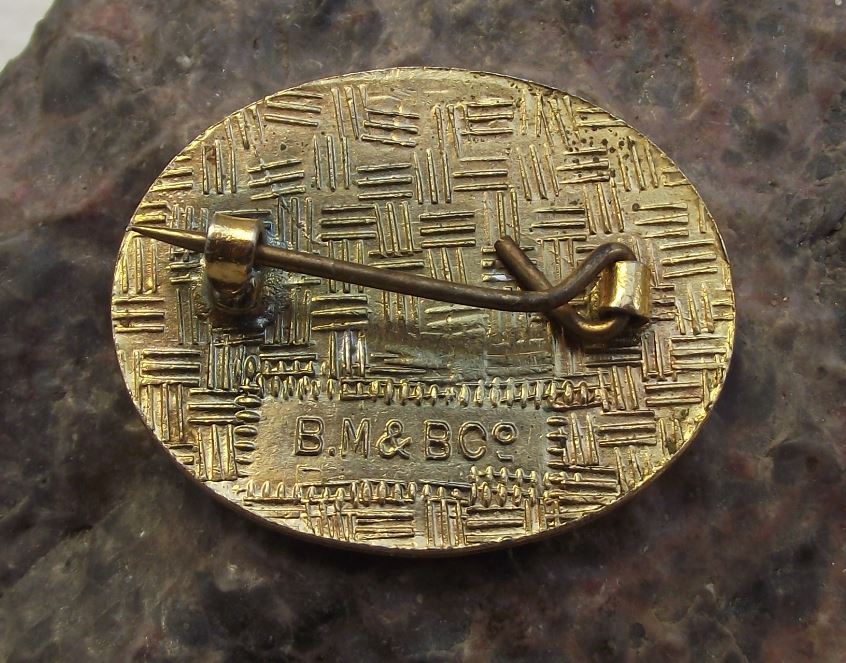 STA Swimming Teachers Association Gold Standard Swimmer Award Pin Badge - Badgecrazy