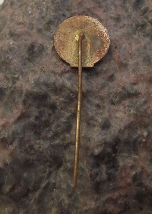 Antique Karlovy Vary Carlsbad Natural Healing Water Springs Fountain Pin Badge - Badgecrazy