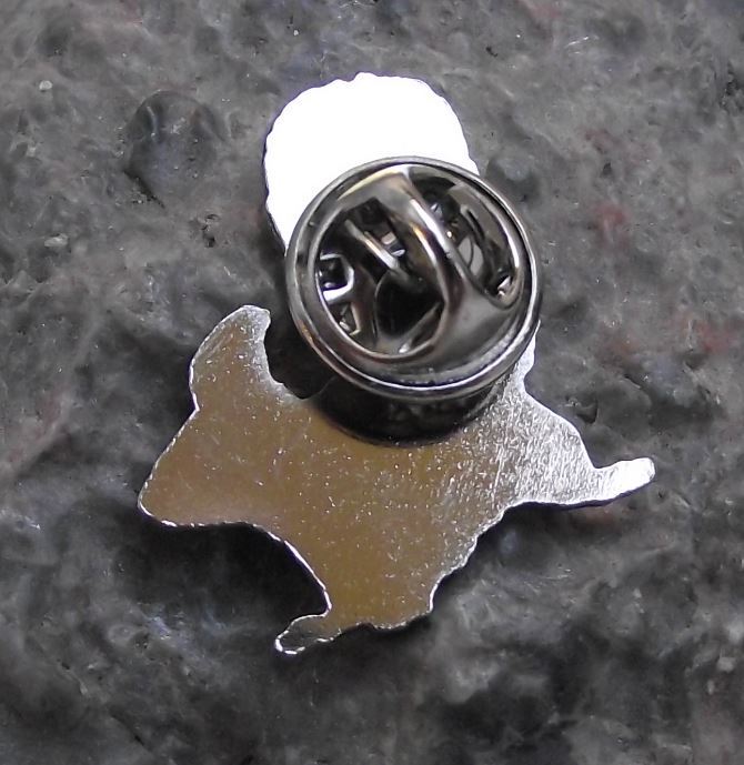 Bushy Tailed Red Squirrel Woodland Tree Animal Wildlife Brooch Pin Badge - Badgecrazy