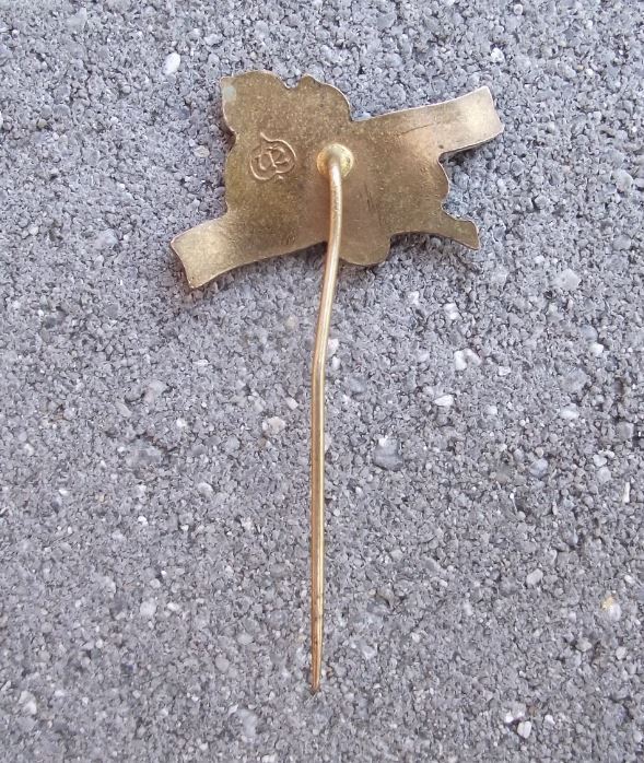 1955 LTU Czech Aviation Technical University Air Force Command Pin Badge