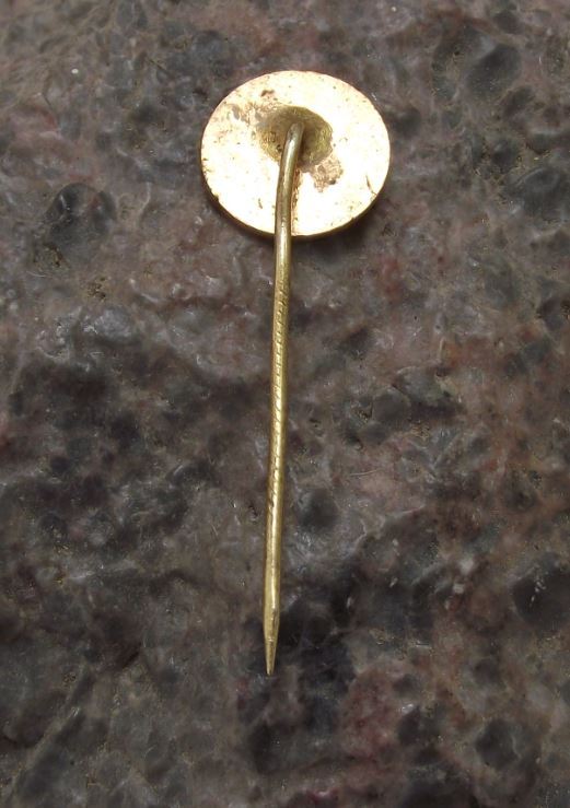 Antique DSV Leoben WSV Alpine Donawitz Soccer Football Club Team Crest Pin Badge - Badgecrazy