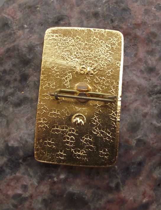 Birthday Anniversary of the Soviet Pioneer Association Red Star Flames Pin Badge - Badgecrazy