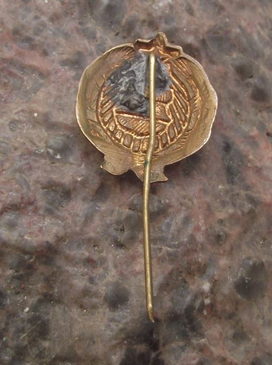Vintage Hungarian People's Republic Hungary National Emblem Communist Pin Badge
