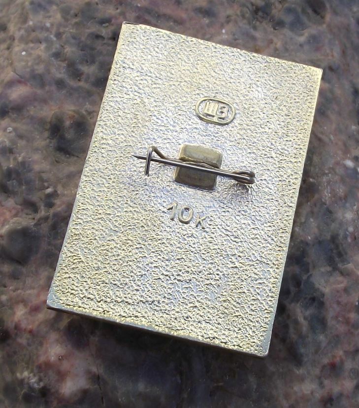 Volgograd Hero City of Soviet Union Star Award for Stalingrad Siege Pin Badge