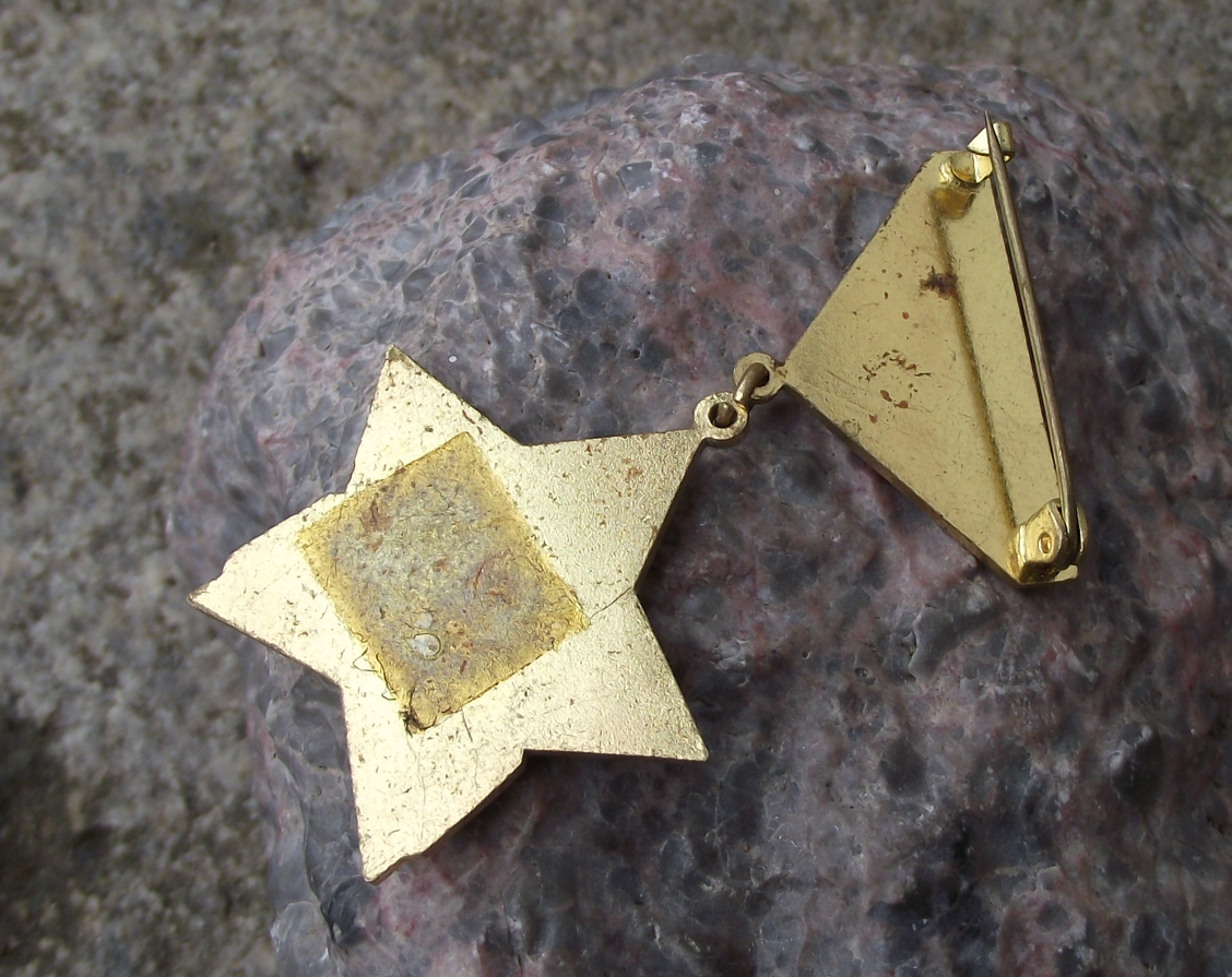 Vintage Communist Pioneer Movement Leader Award Star Medal Pin Badge - Badgecrazy
