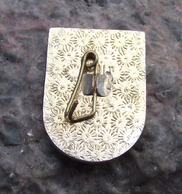 Antique Sochi Soviet Union Coat of Arms Heraldic City Crest Fruit Tree Pin Badge - Badgecrazy