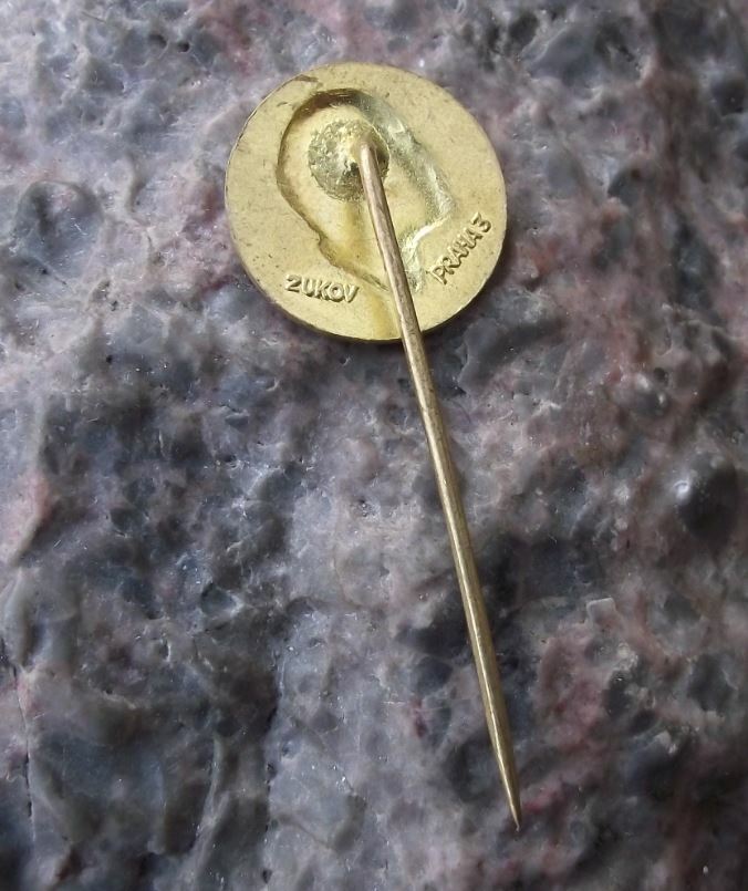 Golden Vladimir Lenin Soviet Union Russian Premier Communist Leader Pin Badge - Badgecrazy