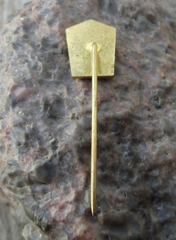 Czech Army Military Armed Forces Ground Forces High School VVS PV LS Pin Badge - Badgecrazy