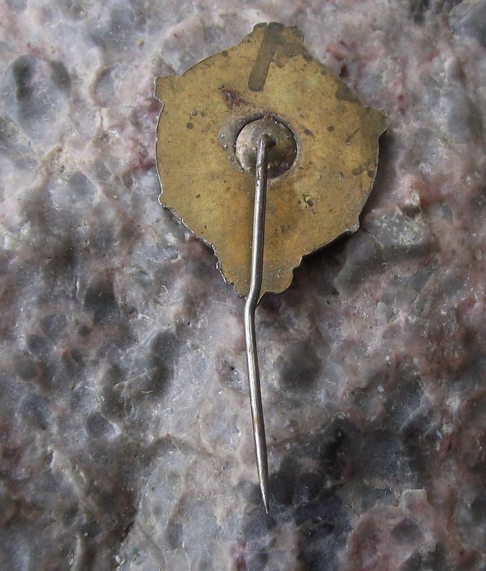 1949 Czechoslovakia 5 Year Soviet Marshall Rebuilding Plan Coal Miner Pin Badge