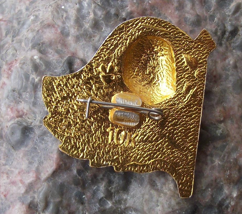Vintage VI Vladimir Lenin Russian Communist Politician Soviet Flag Pin Badge - Badgecrazy